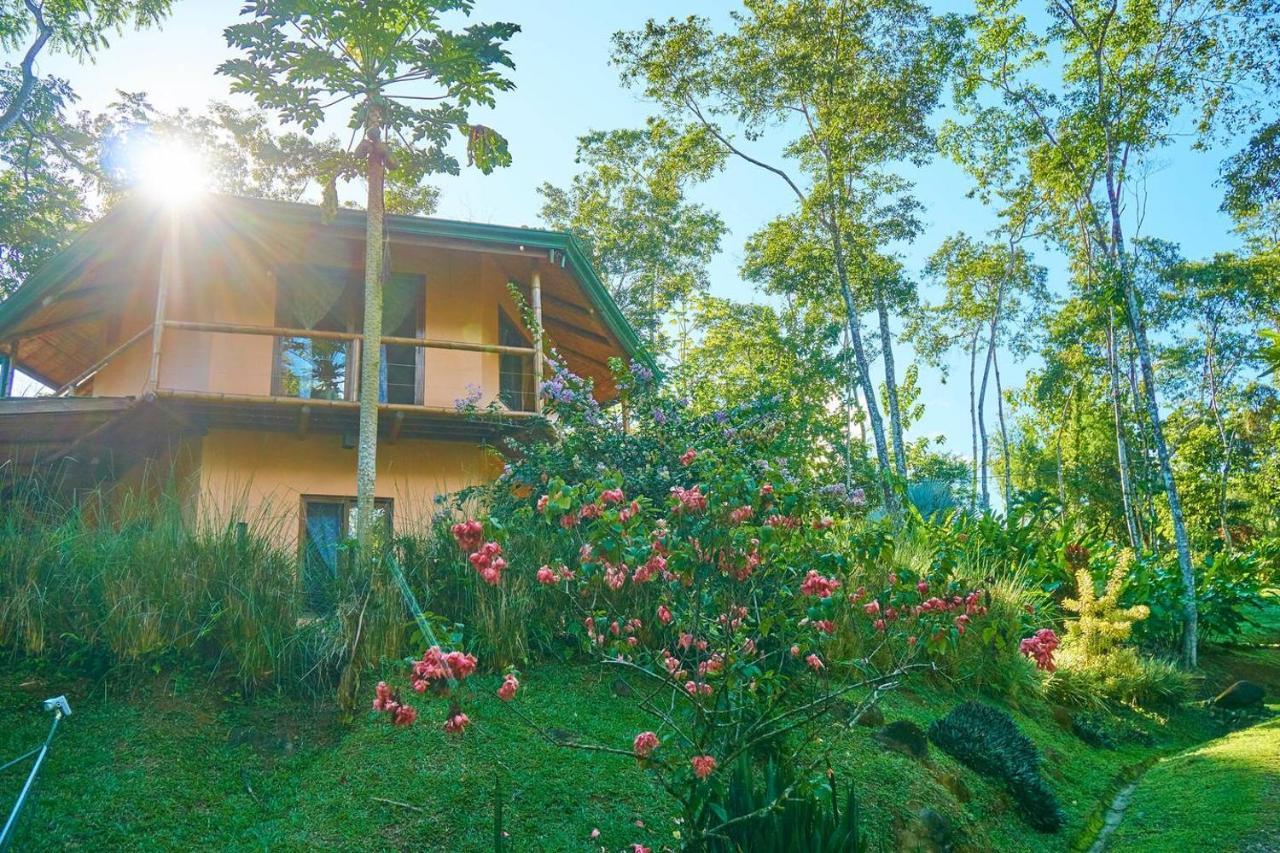 ウビタ Manoas Bed & Breakfast エクステリア 写真
