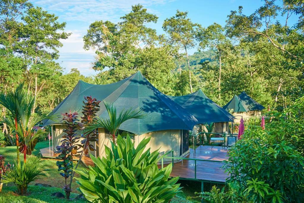 ウビタ Manoas Bed & Breakfast エクステリア 写真